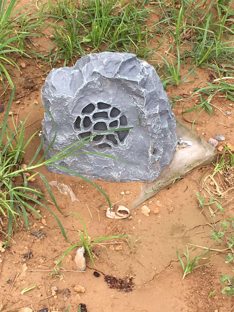 首页 - PP电子官方网站